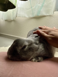返信を待っている時間ってドキドキするよね？