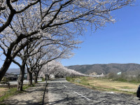 別れの季節