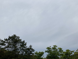 GW最終日??「本日出勤します」