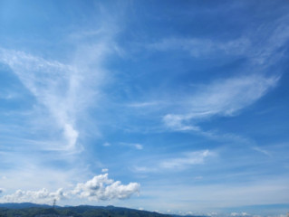 春のお魚