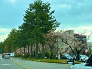 ?4月3日