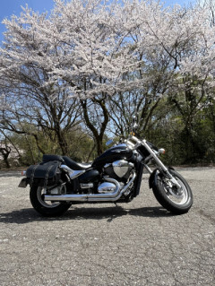 春の陽気