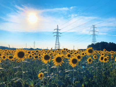 8月