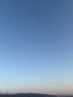 嬉しいこと