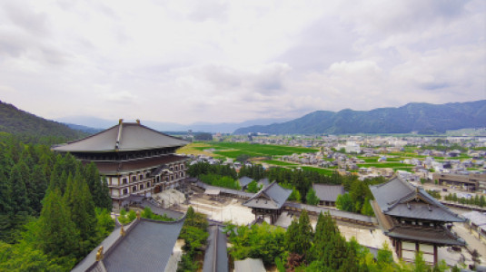 大師山清大寺 越前大仏
