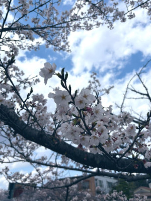 今週末は東京で?