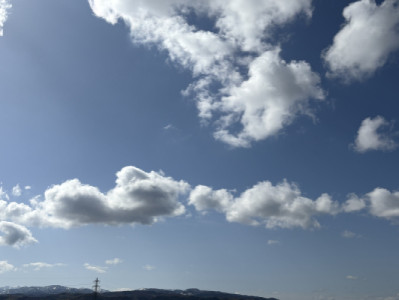 今年度のしめくくり