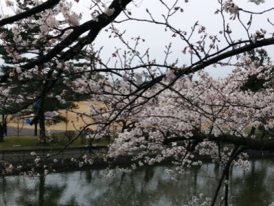 春は美しい