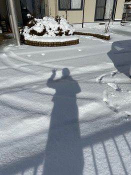 北陸の雪