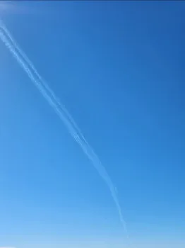 アイスを食べられたら成功