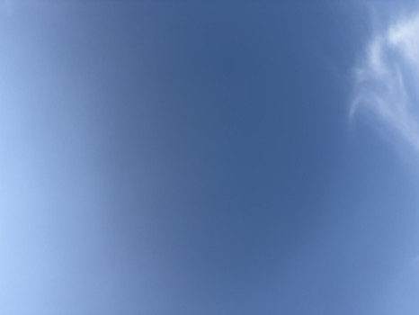 ありがとうございます