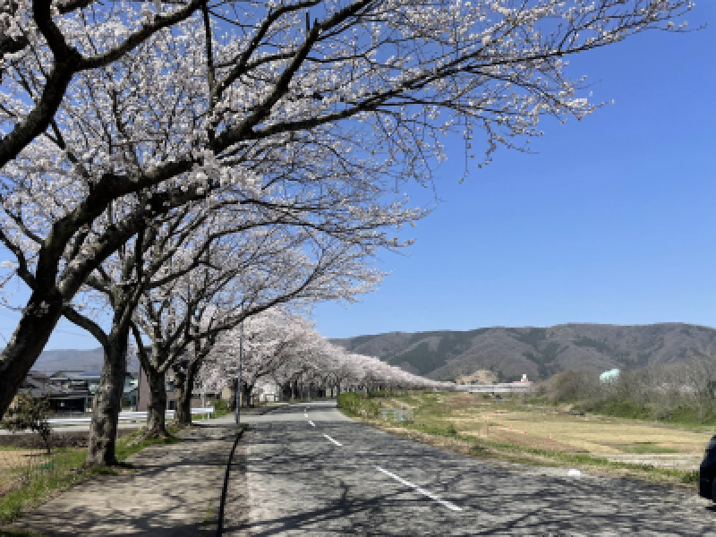 別れの季節