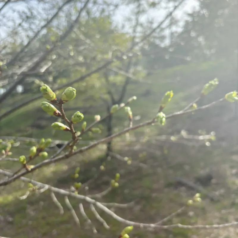 3月30日