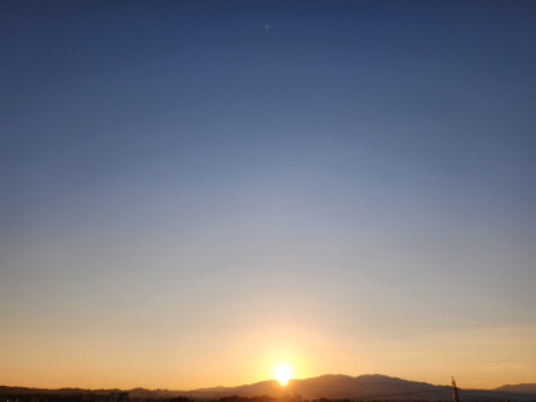 1年