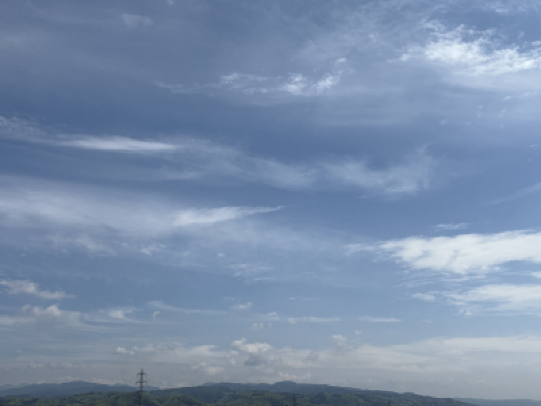 洗いたてのシーツ