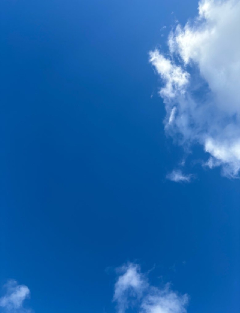 パワフル太陽