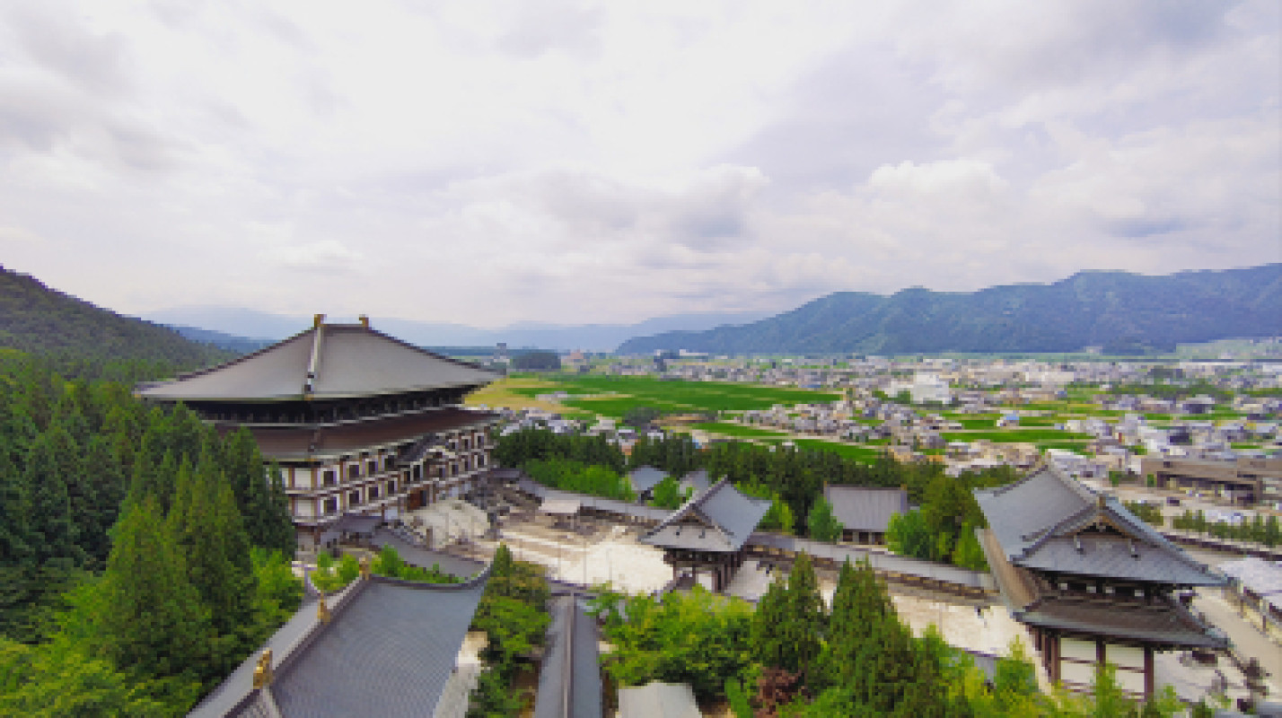 大師山清大寺 越前大仏