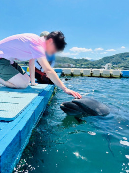 ひと夏の経験