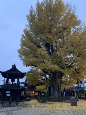 飛騨高山へ