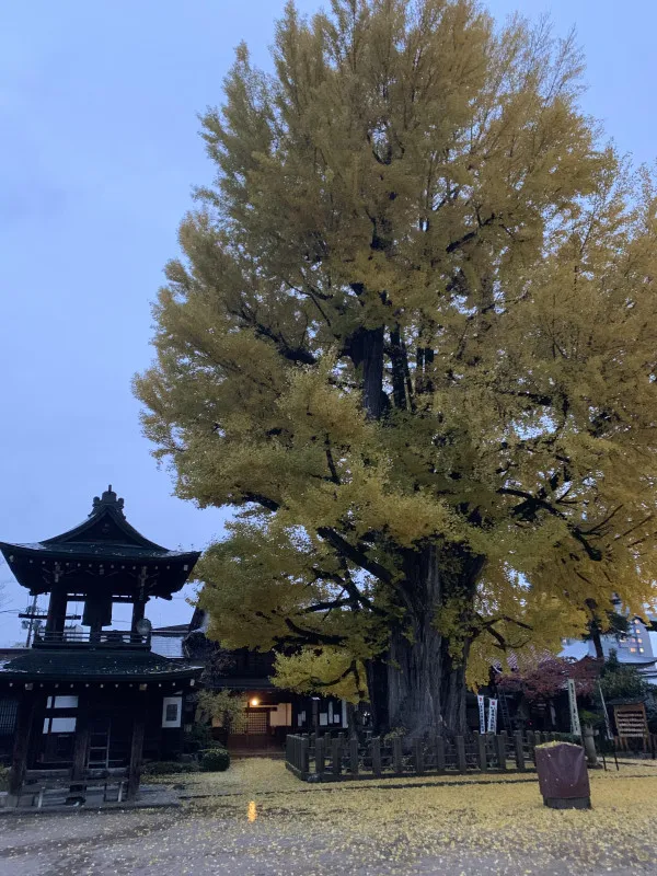 飛騨高山へ