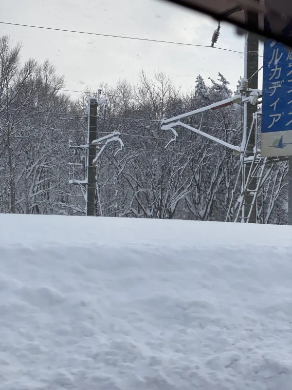 北海道の結果