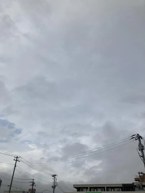 台風でジメジメ