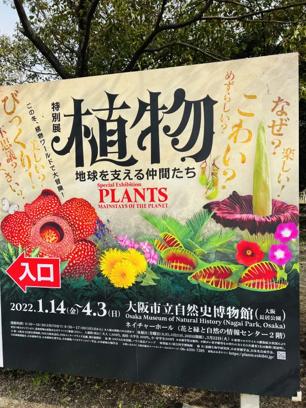 特別展「植物　地球を支える仲間たち」