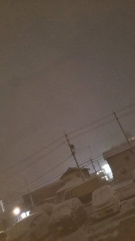 雪ですね～