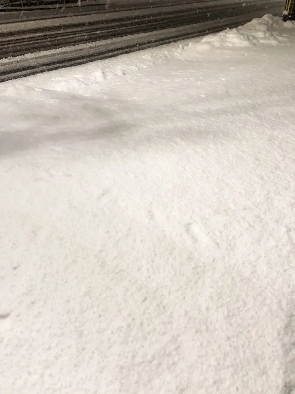 雪道