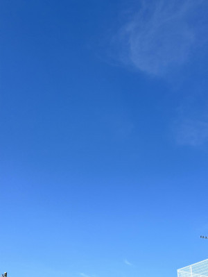 たまたまの早起き