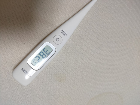 大熱です