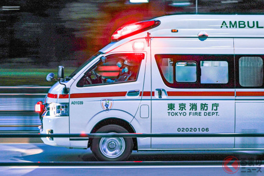 癒しの119番、今夜も出動要請！