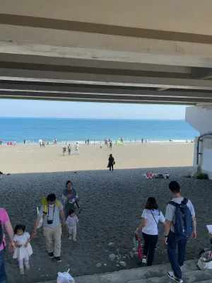 海