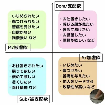 ドミサブ診断