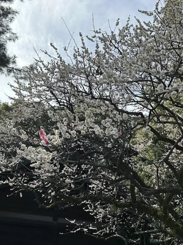 2月最終日