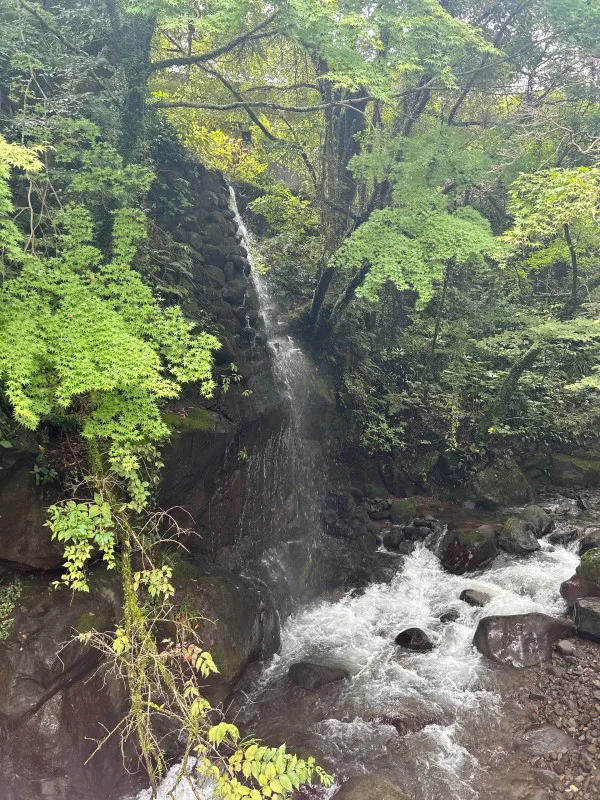 湯河原行ってきました