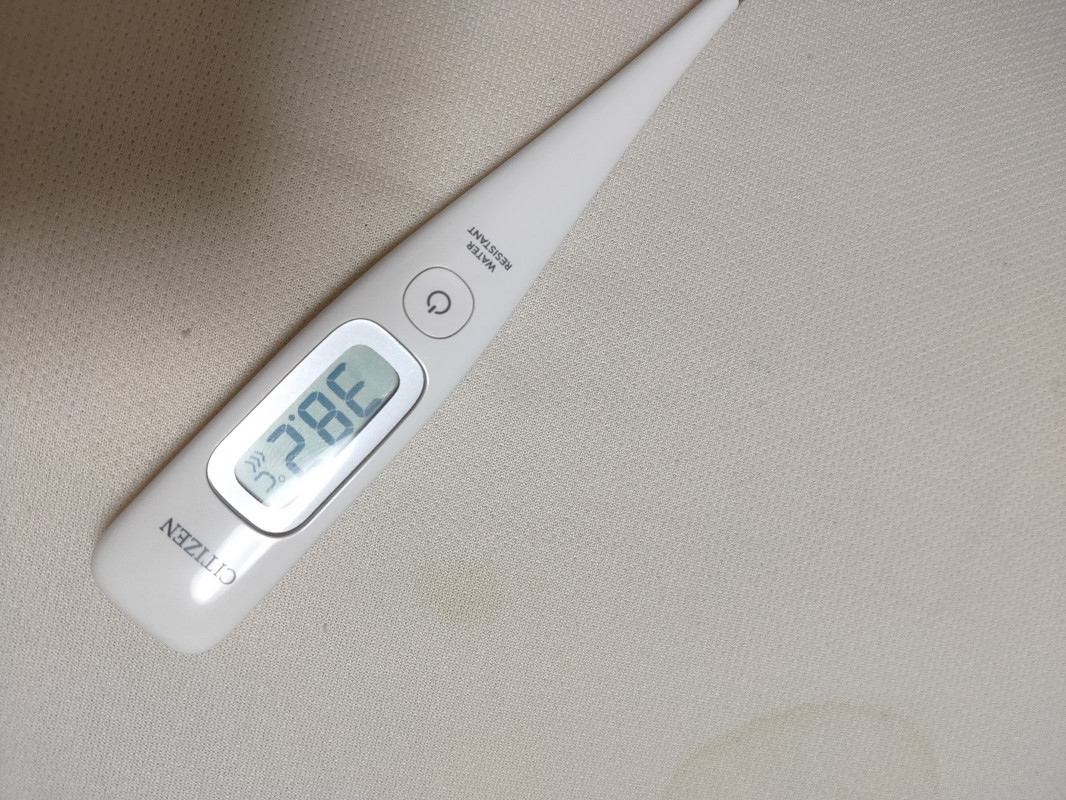 大熱です