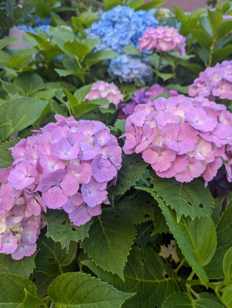 ちょっと疲れた日に、寄り道しませんか？
