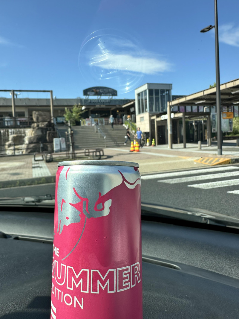夏の始まりとともに