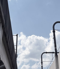 優くんのお散歩日記vol.4