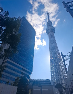 選択とチューニング