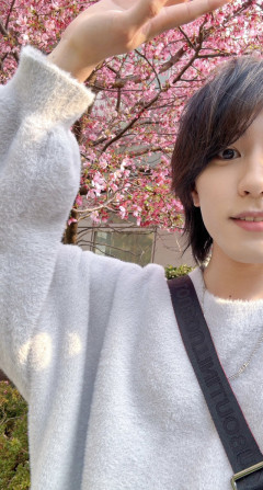 四季折々
