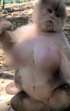 まじで頭の中エロな件