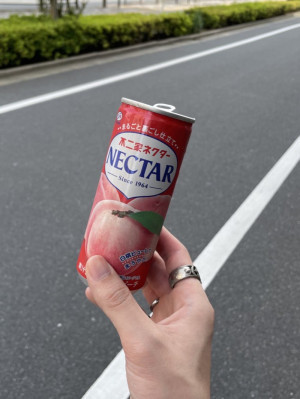 ネクター