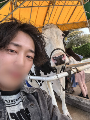 牛『ヴッモーーーーーーー』