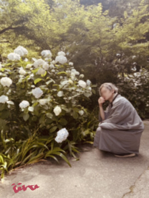 【　Bloom early summer -two-　】