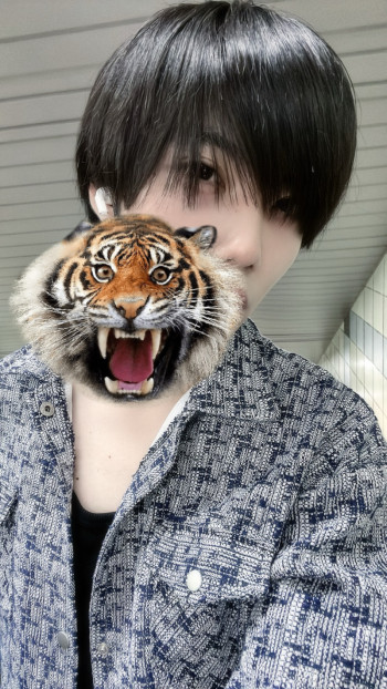 『癒します問題』
