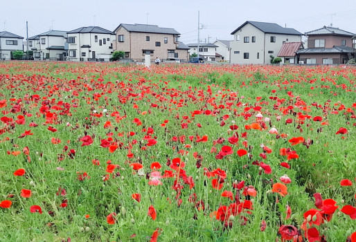 照れてる場合じゃないから