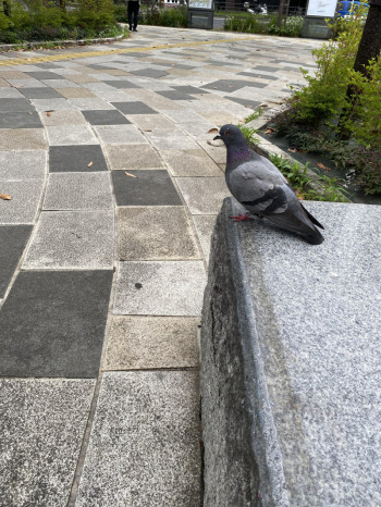 「平和」