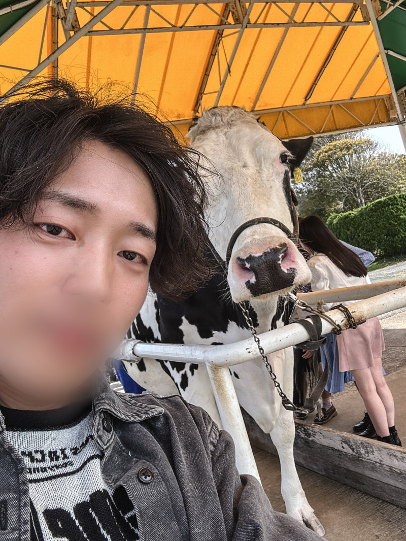 牛『ヴッモーーーーーーー』